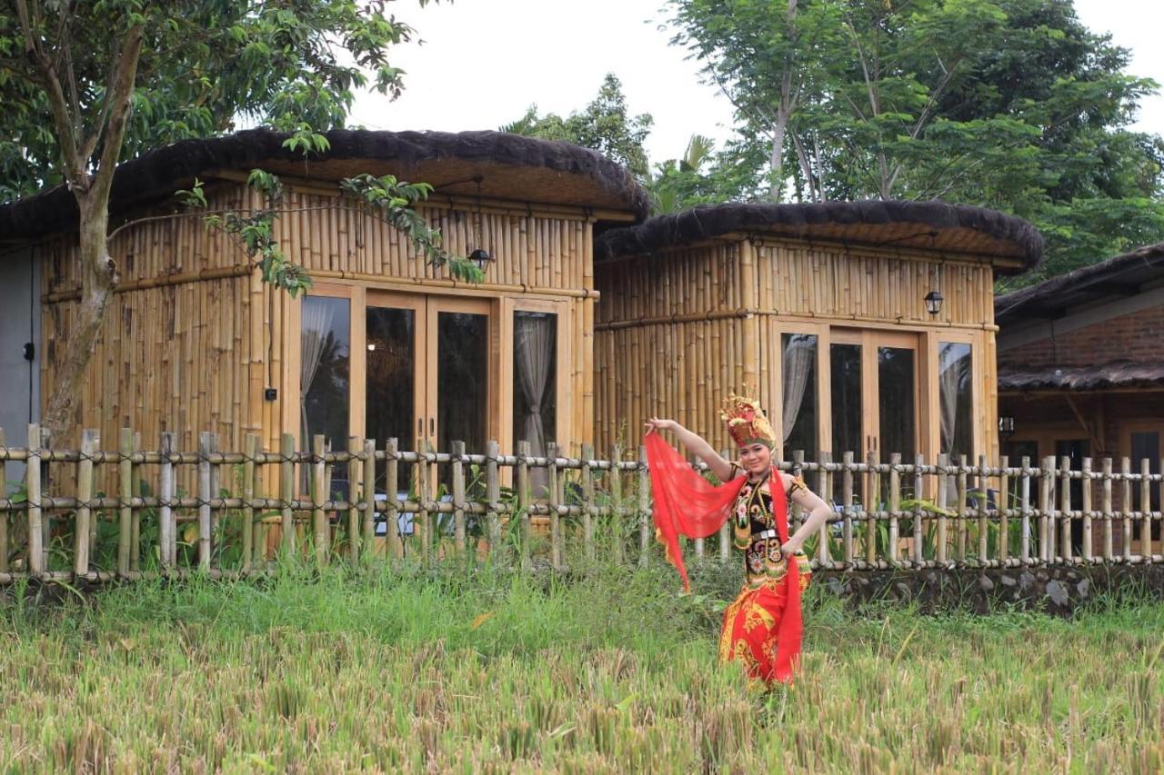 فندق Sawah Ijen Licin المظهر الخارجي الصورة