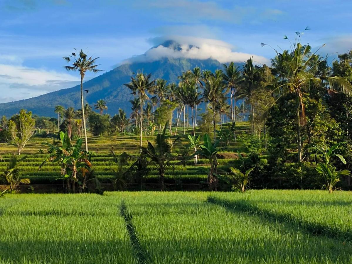 فندق Sawah Ijen Licin المظهر الخارجي الصورة