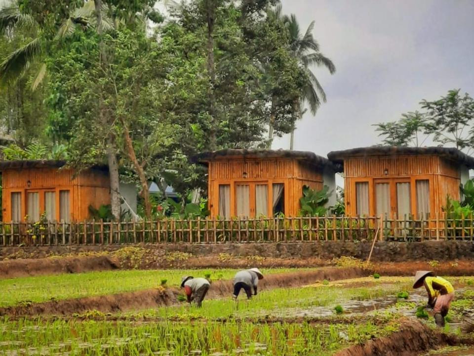 فندق Sawah Ijen Licin المظهر الخارجي الصورة